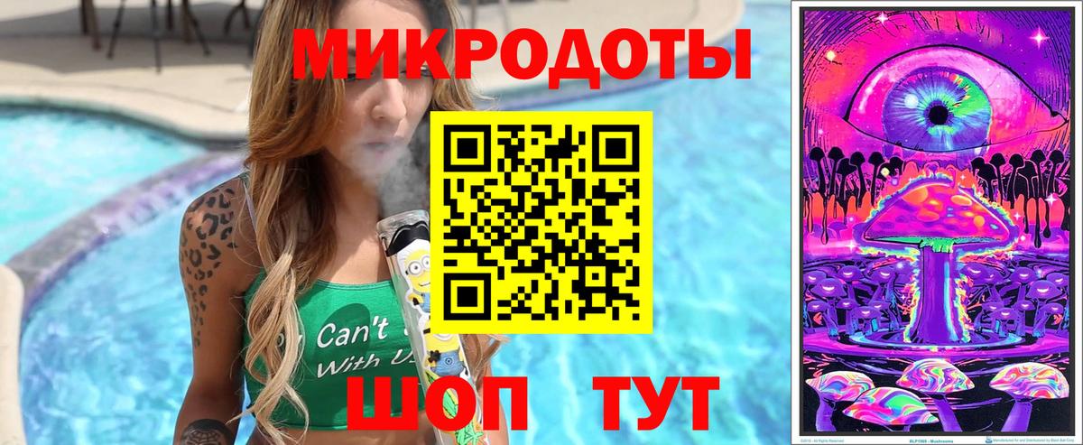 Псилоцибиновые грибы Cubensis  Вход с VPN  Ставрополь 